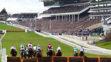 Cheltenham Festival Racecards