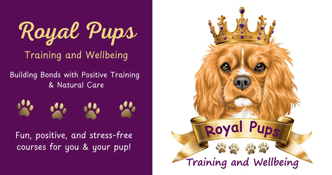 King Charles Cavalier: The Royal Pup With a Heart of Gold