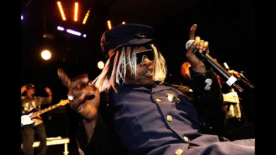 Sly Stone's Net Worth