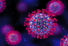 How Dangerous Is the New COVID Variant