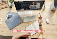 AlternativeWayNet Steve